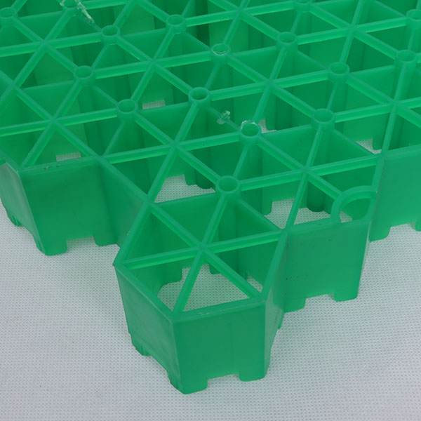 91看片在线入口